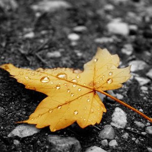 黄色激情夫妻性生活视频
